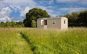 Romantic Secluded Shepherd Hut Hares Rest